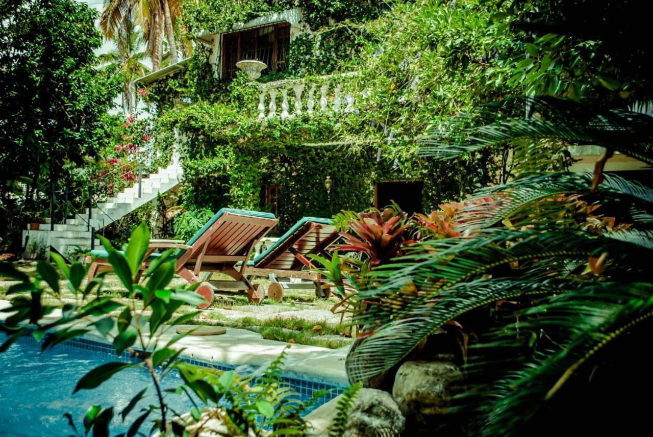 Villa Carolina Bed And Breakfast Puerto Plata Kültér fotó