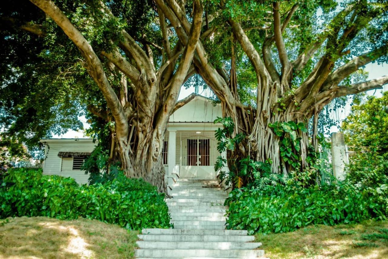 Villa Carolina Bed And Breakfast Puerto Plata Kültér fotó